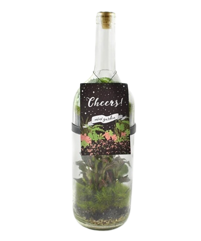 14" Wine Bottle Terrarium